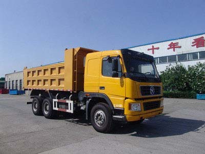 大运（山西） 大运重卡 310马力 6×4 自卸车（DYX3251PA41WPD3D）