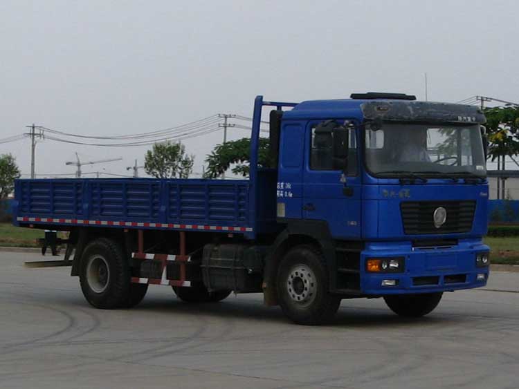 陕汽 德龙F3000重卡 300马力 4×2 栏板载货车(SX1165NN461)