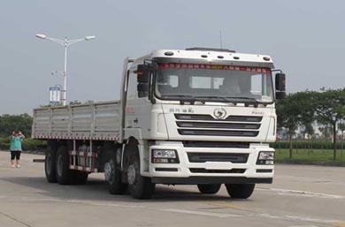 陕汽 德龙F3000重卡 336马力 8×4 栏板载货车(SX1316NR366)