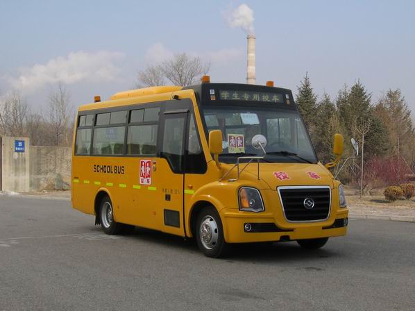 黄海汽车 黄海客车 130马力 24-34人 小学生校车(DD6690C02FX)