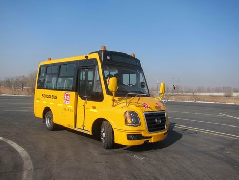 黄海汽车 黄海客车 100马力 10-18人 小学生校车(DD6550C02FX)